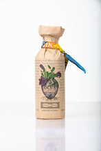 Load image into Gallery viewer, Ocus Organic Gin 50cl